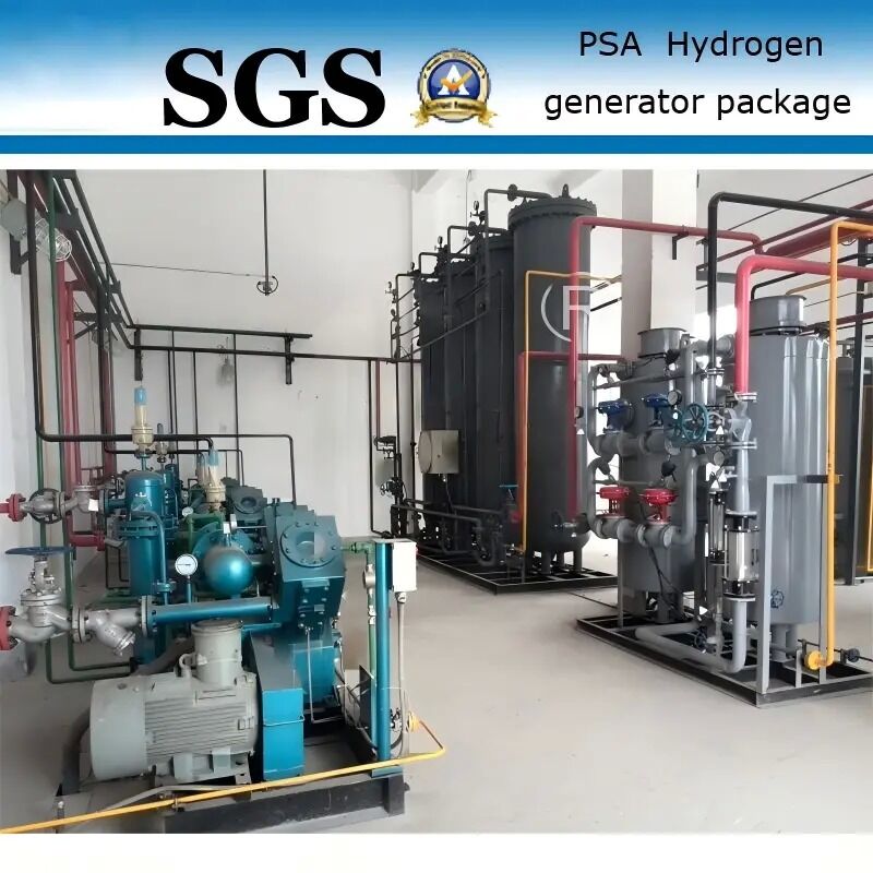 1 KW PSA-Wasserstoffgenerator mit 99,99% Reinheit für Anwendungen in der Stahlindustrie