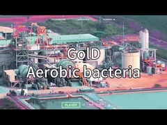 VSA VPSA SAUERSTOFFGENERATOR